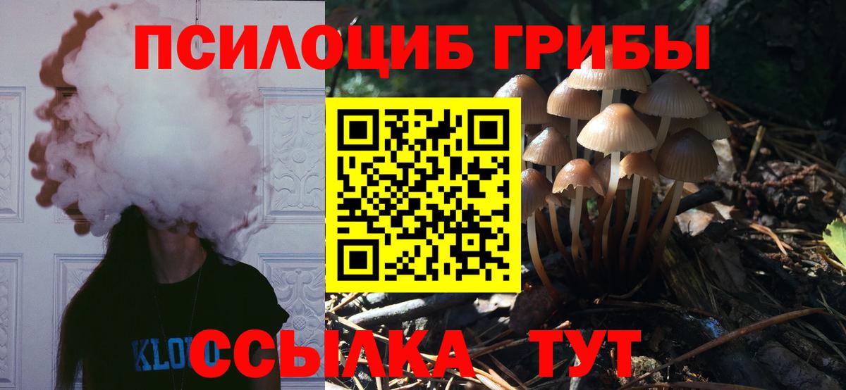 Псилоцибиновые грибы прущие грибы Красный Сулин