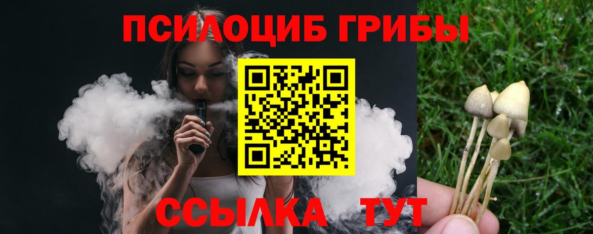 Красный Сулин  Галлюциногенные грибы Psilocybine cubensis  Вход с VPN 